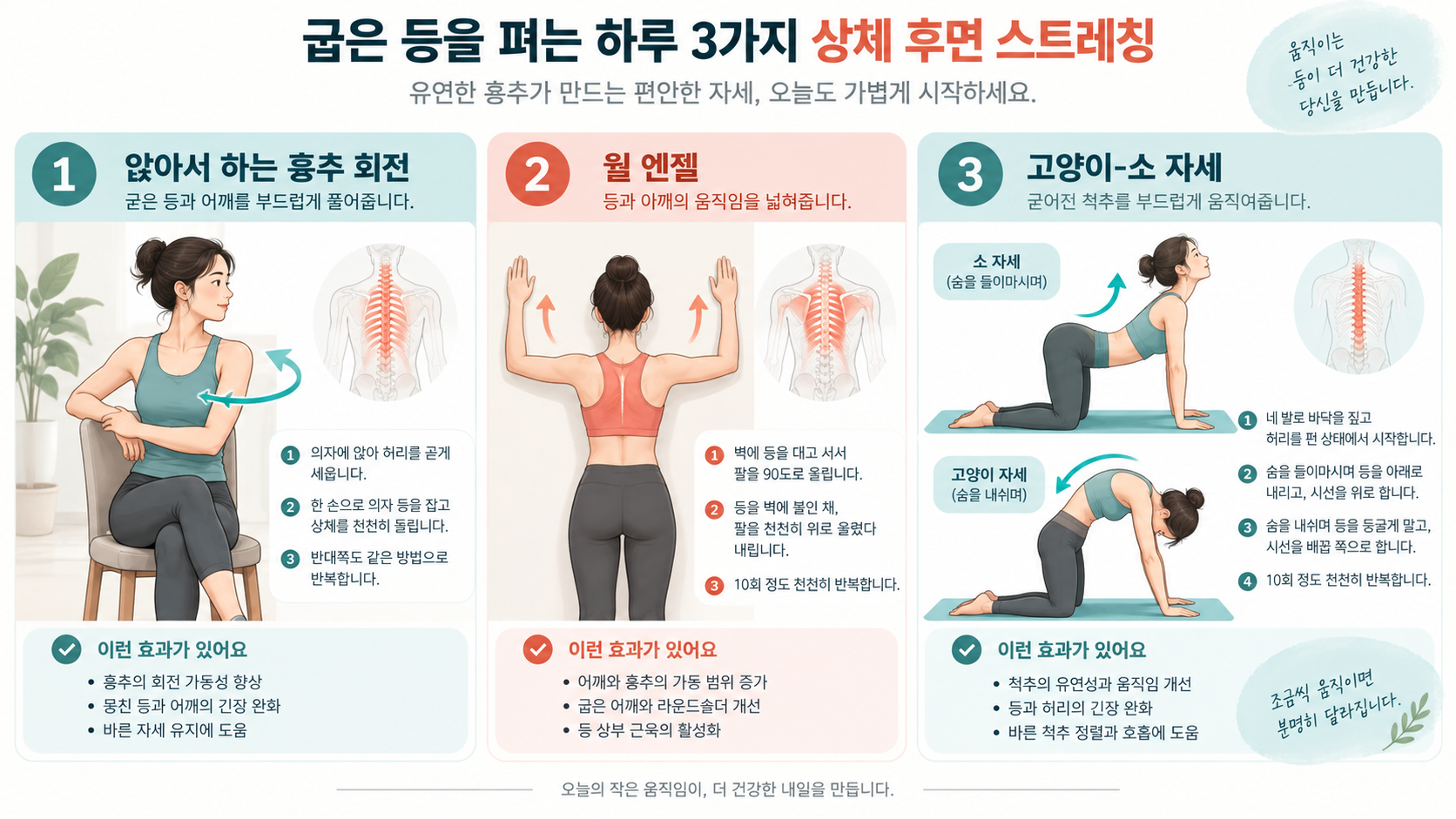 흉추 회전과 벽 엔젤, 고양이소 자세를 보여 주는 한국형 정보카드