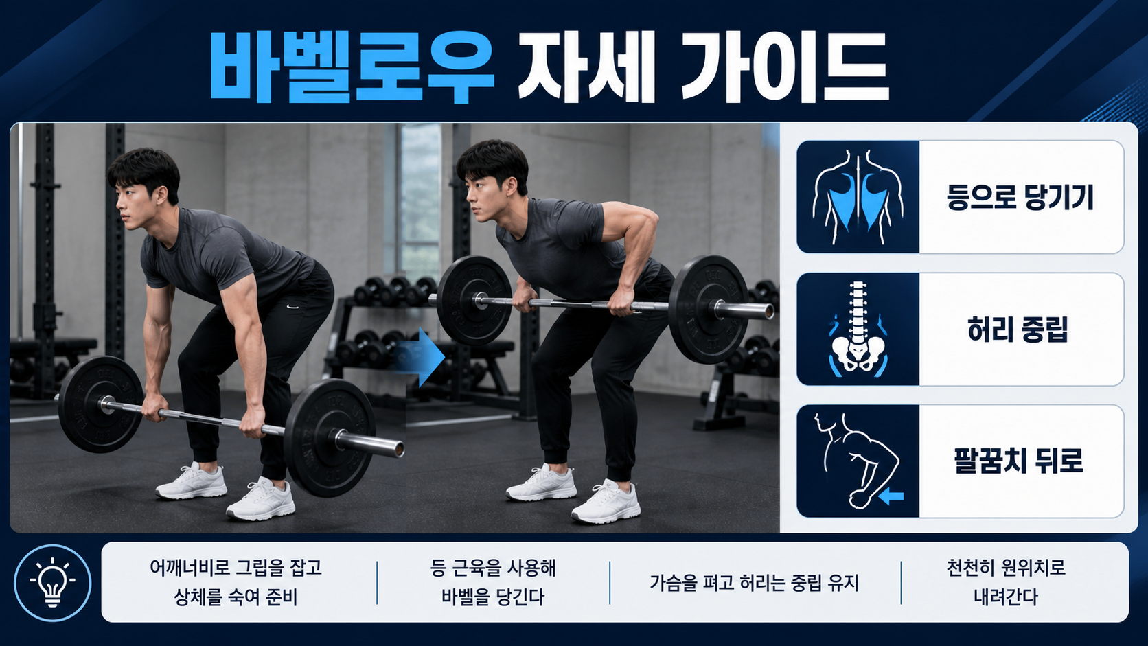 바벨로우 자세와 등운동 효과를 설명하는 정보카드