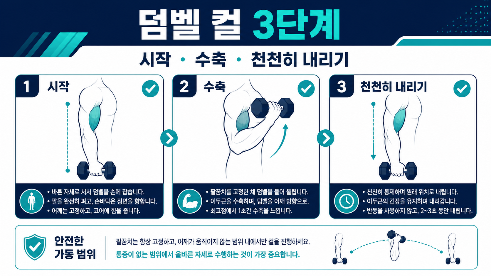 덤벨 컬 시작과 수축, 천천히 내리기 자세 정보카드