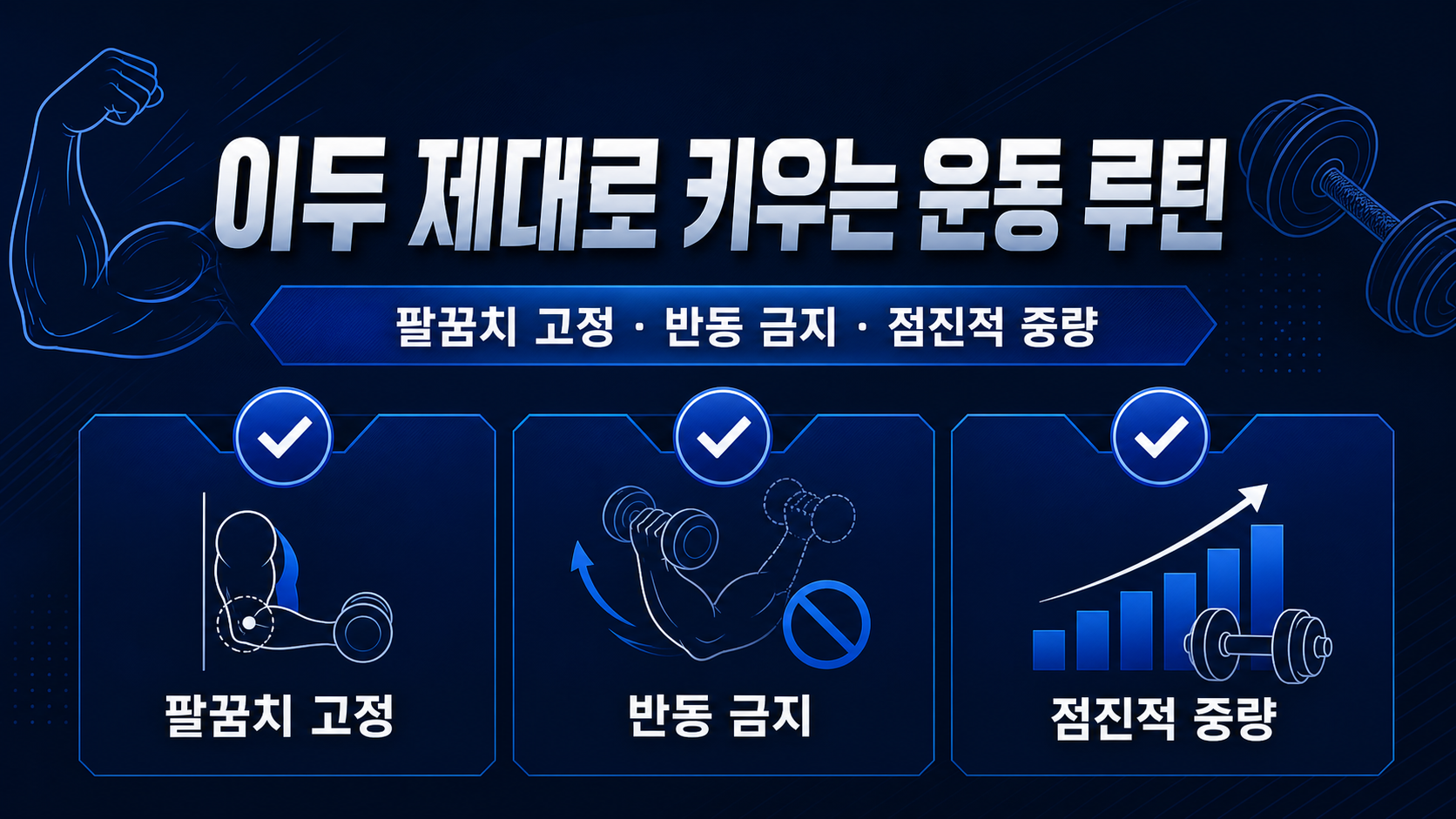 이두 제대로 키우는 이두운동 루틴 정보카드