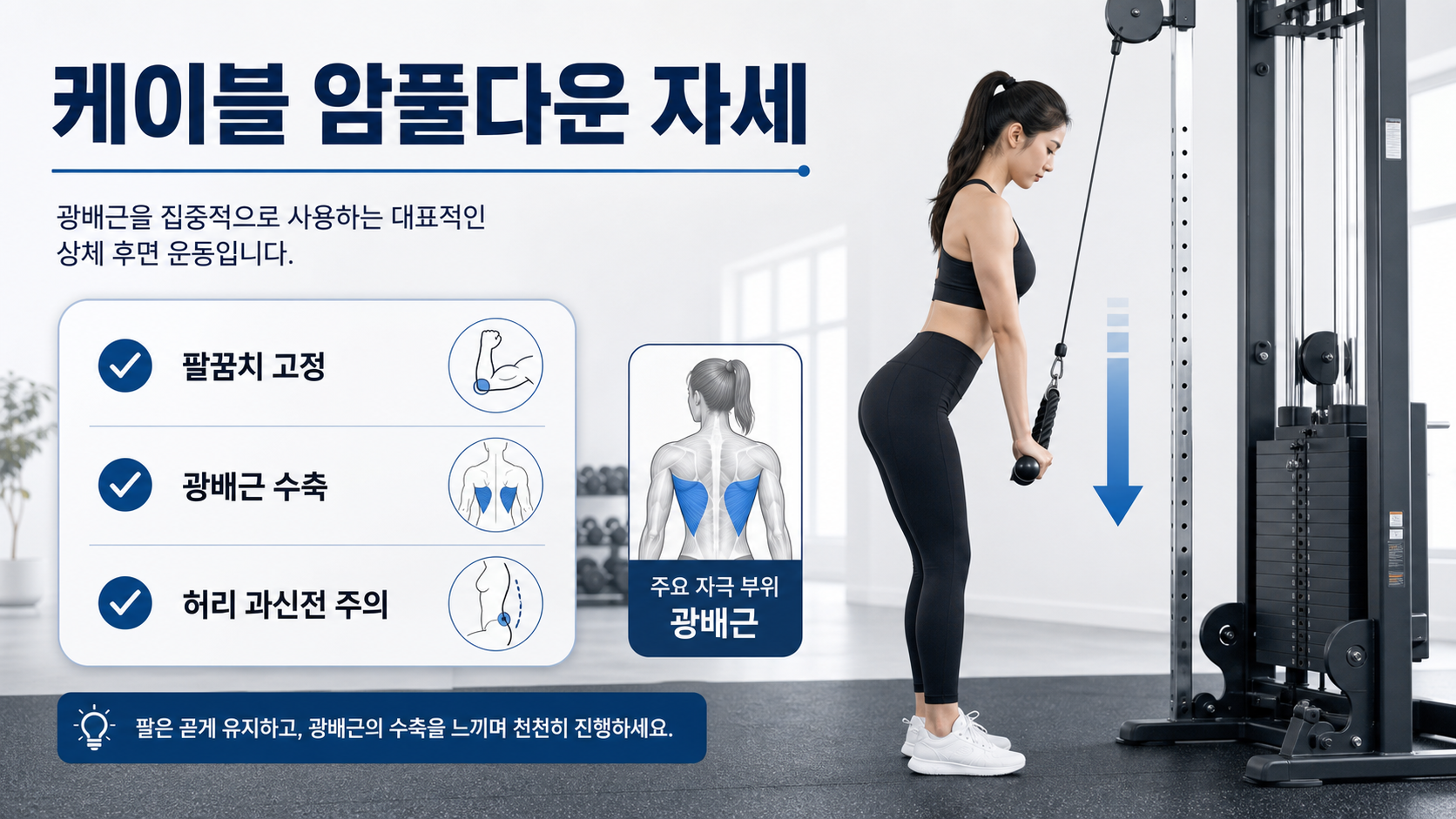 케이블 암풀다운 자세와 광배근 자극 포인트를 설명하는 한국어 정보 카드