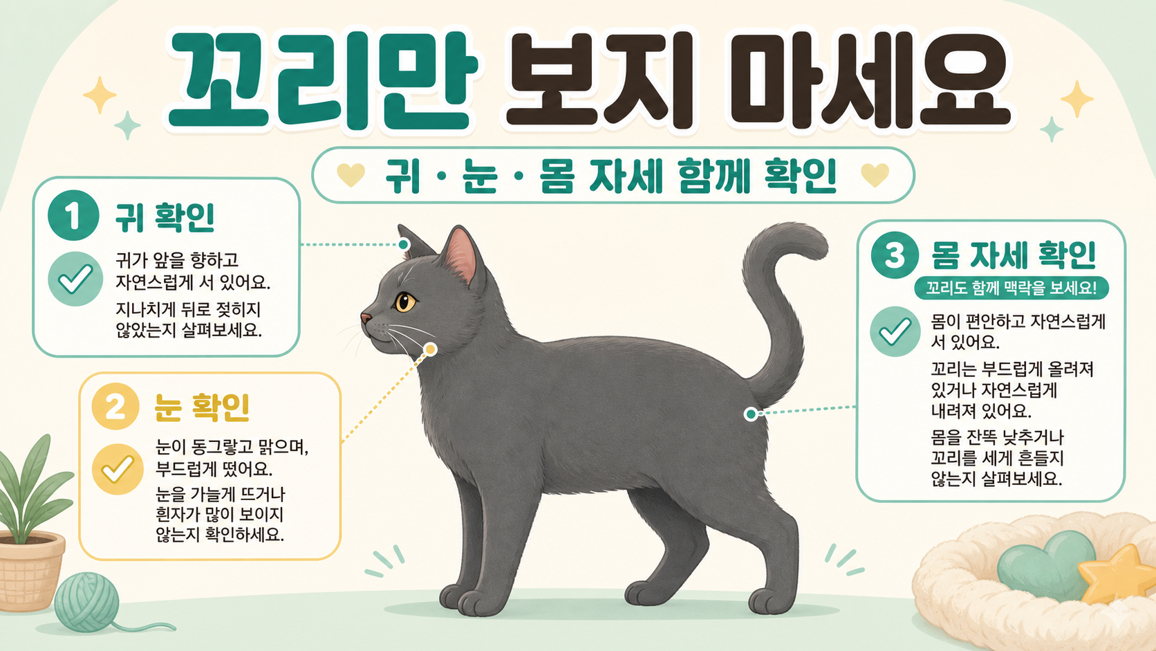 고양이 꼬리와 귀 눈 몸 자세를 함께 확인하는 체크리스트 정보카드