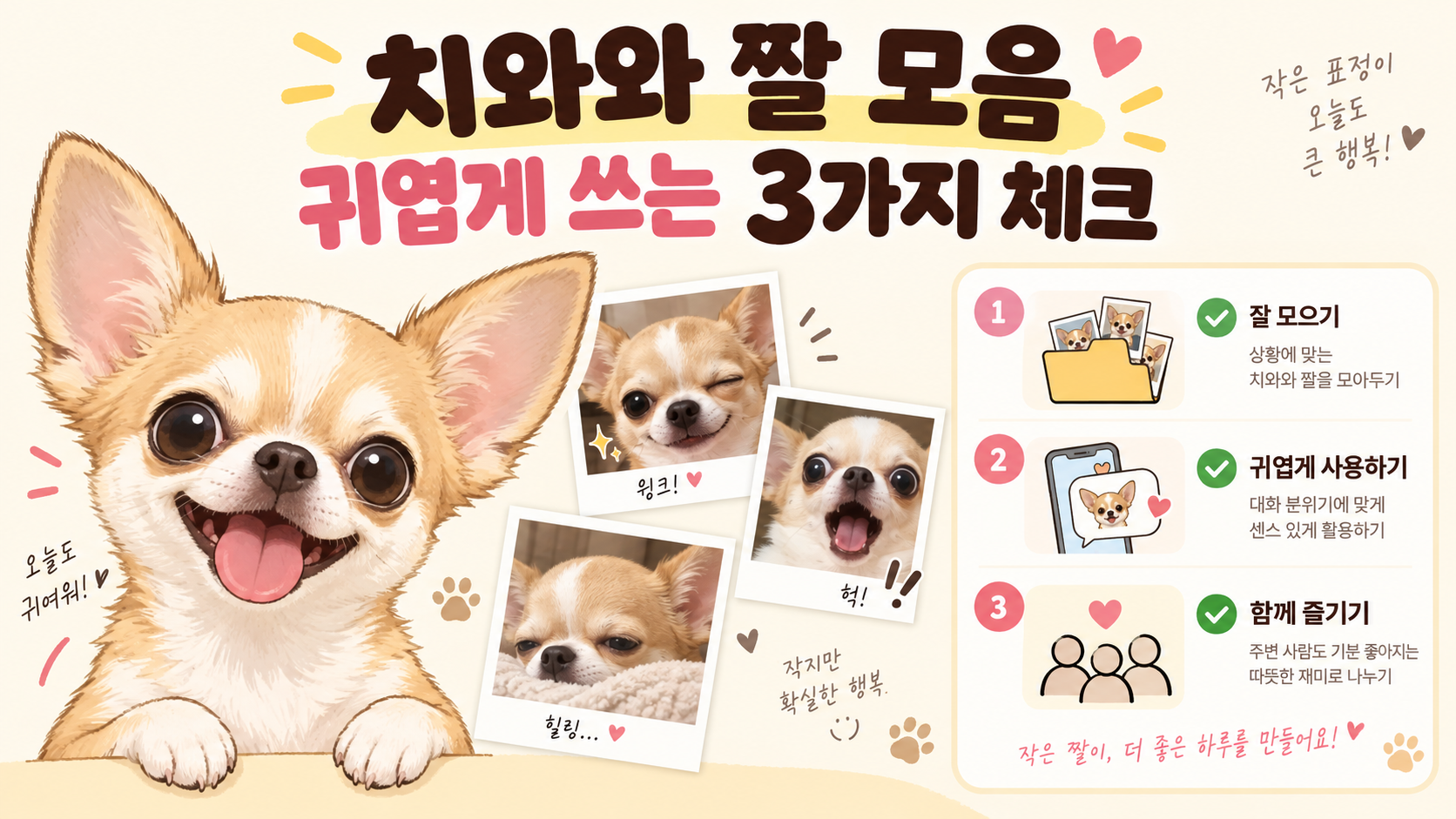 치와와 짤을 귀엽고 안전하게 쓰는 세 가지 체크를 안내하는 정보카드