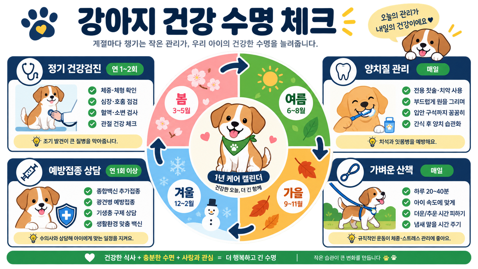 강아지 건강검진과 치아 관리, 산책 계획을 계절별로 정리한 정보 카드