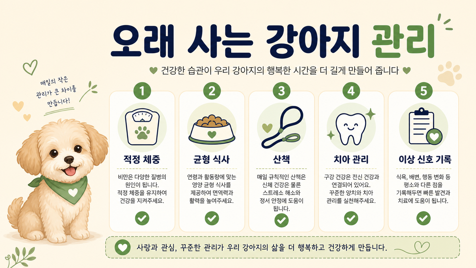 오래 사는 강아지를 위한 체중·식사·산책·치아 관리 체크리스트 정보 카드