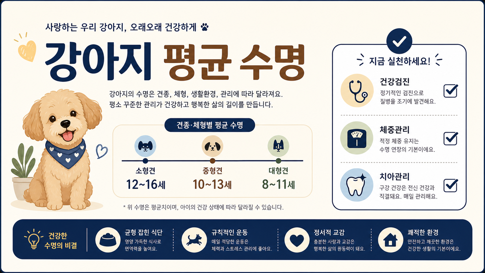 강아지 평균 수명과 건강검진·체중관리·치아관리 핵심을 담은 정보 카드