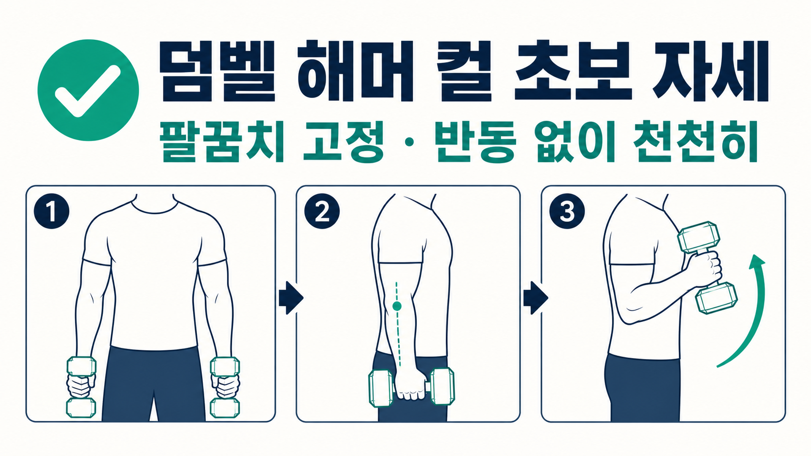 덤벨 해머 컬 초보 자세와 팔꿈치 고정, 반동 없이 천천히 올리는 3단계 정보 카드