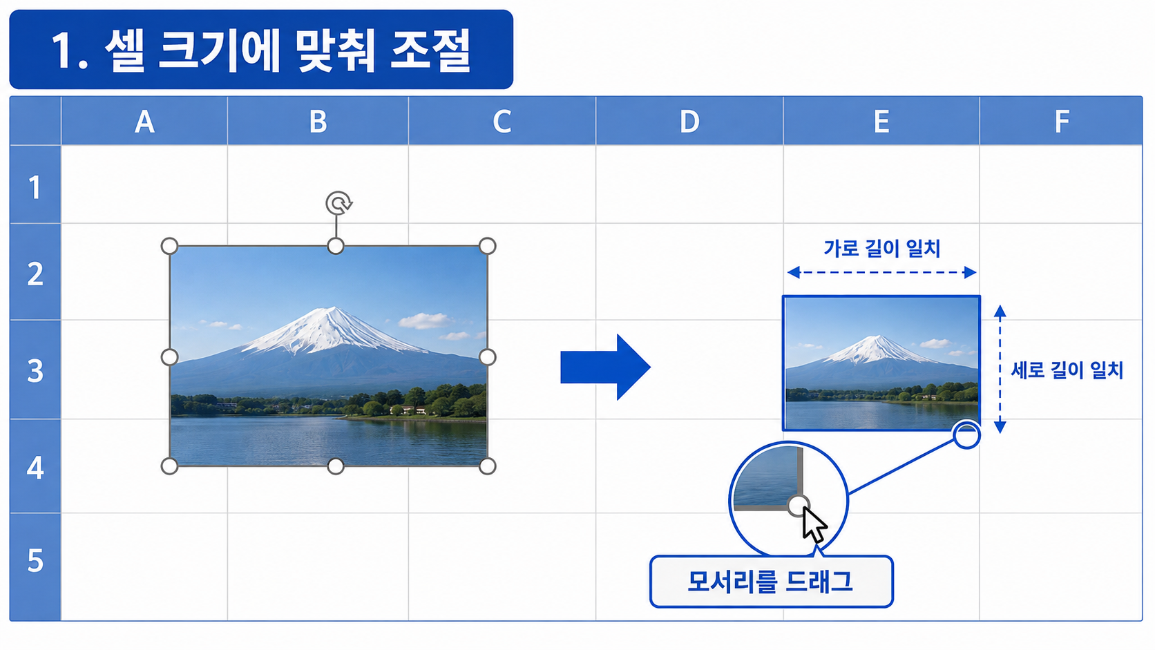 엑셀에서 그림을 셀 크기에 맞춰 조절하는 방법 안내 이미지