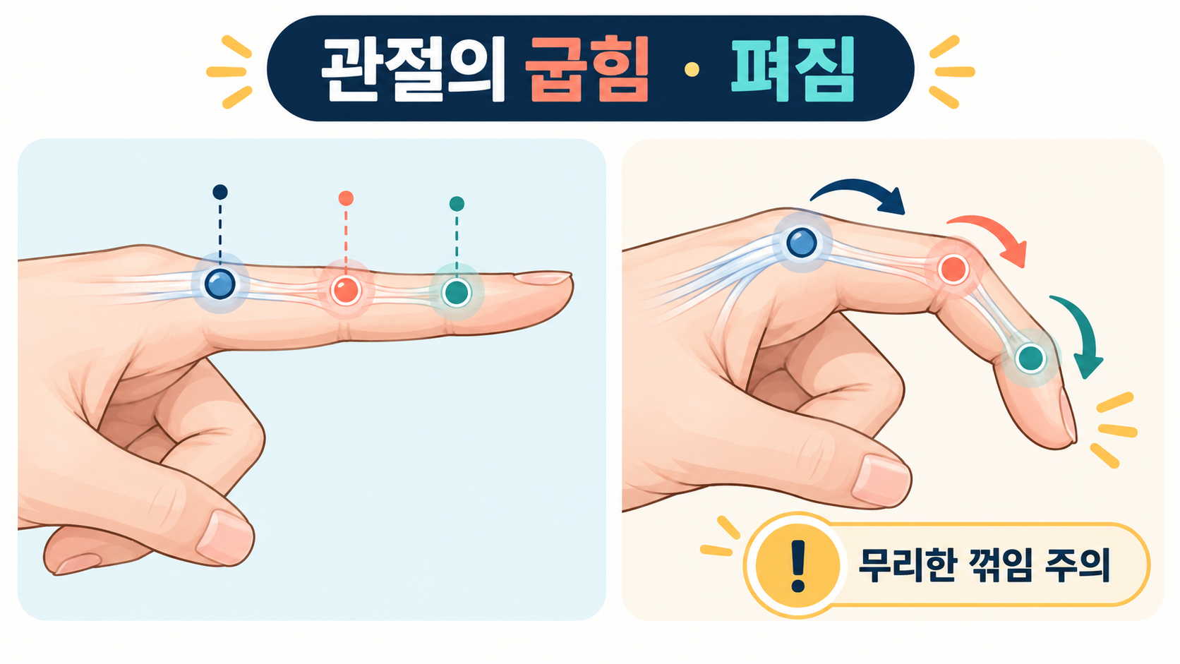 손가락 관절의 굽힘과 펴짐을 설명하는 한국형 해부학 정보카드
