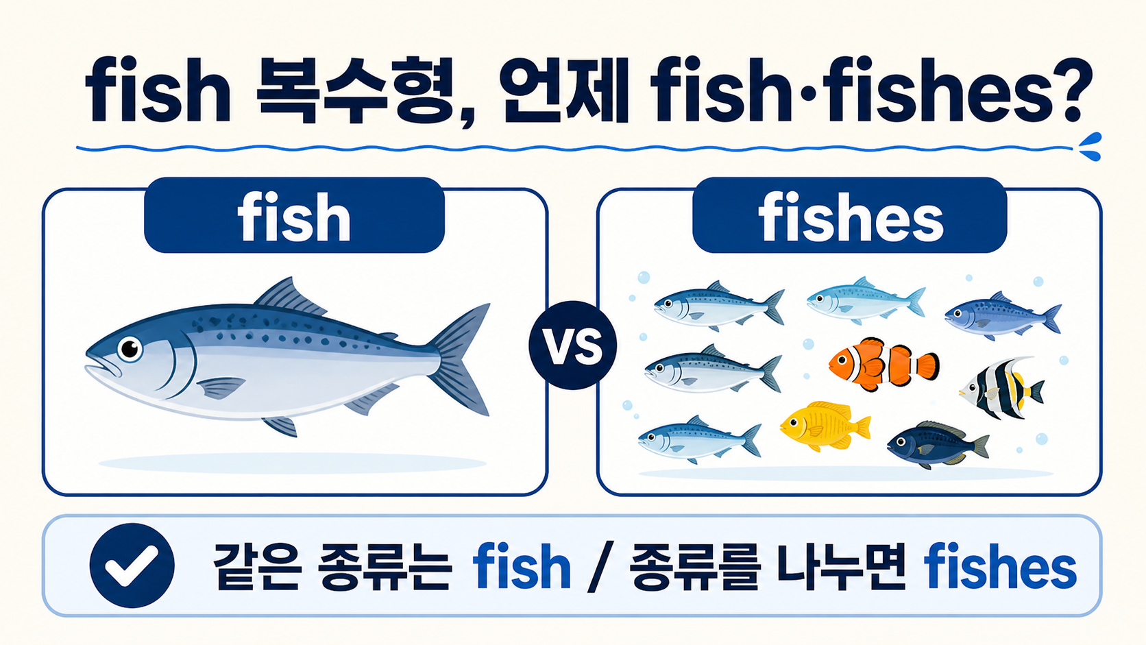 fish와 fishes 차이를 제목과 체크 아이콘, 같은 종류와 여러 종류의 물고기 도식으로 설명하는 한국어 정보 카드