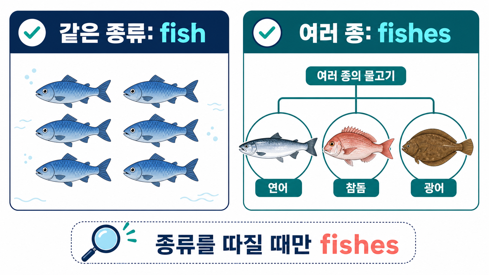 같은 종류의 물고기는 fish, 여러 어종을 구분하면 fishes가 될 수 있음을 비교한 정보 그림