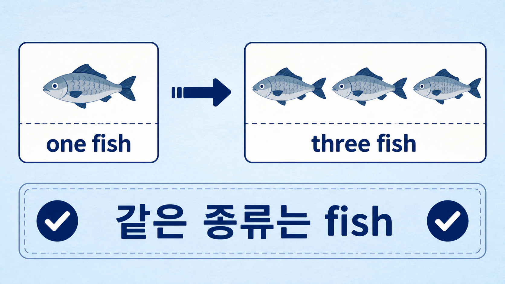 one fish와 three fish처럼 같은 종류의 물고기는 복수에도 fish를 쓰는 정보 그림