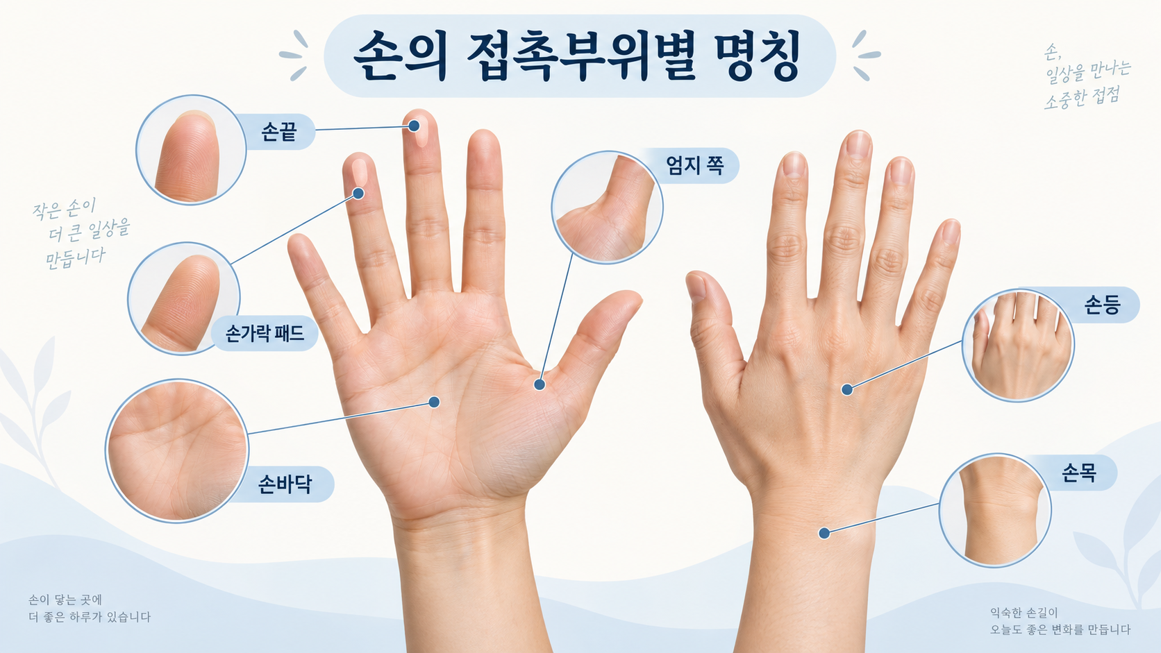손끝 손가락 패드 손바닥 손등 손목을 표시한 손 접촉부위 명칭 정보카드