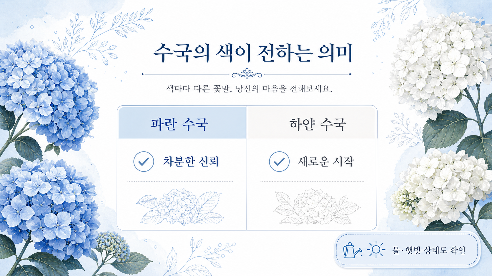 파란 수국과 하얀 수국의 의미 비교 정보카드
