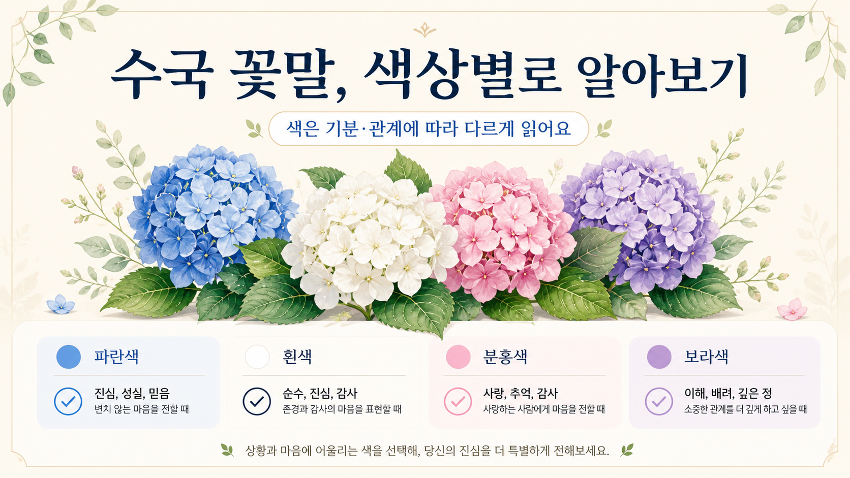 수국 꽃말 색상별 의미를 정리한 한국형 정보카드