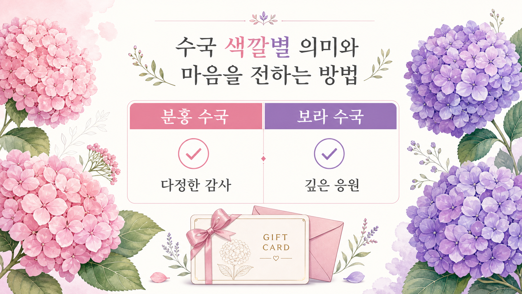 분홍 수국과 보라 수국의 의미 비교 정보카드