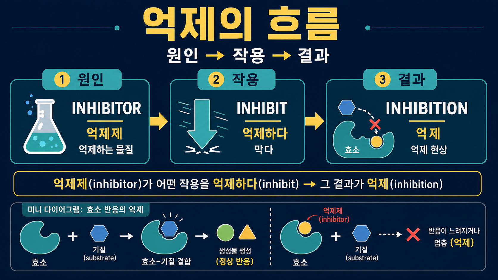 inhibit, inhibition, inhibitor, inhibitory의 역할을 과정으로 구분한 정보 이미지