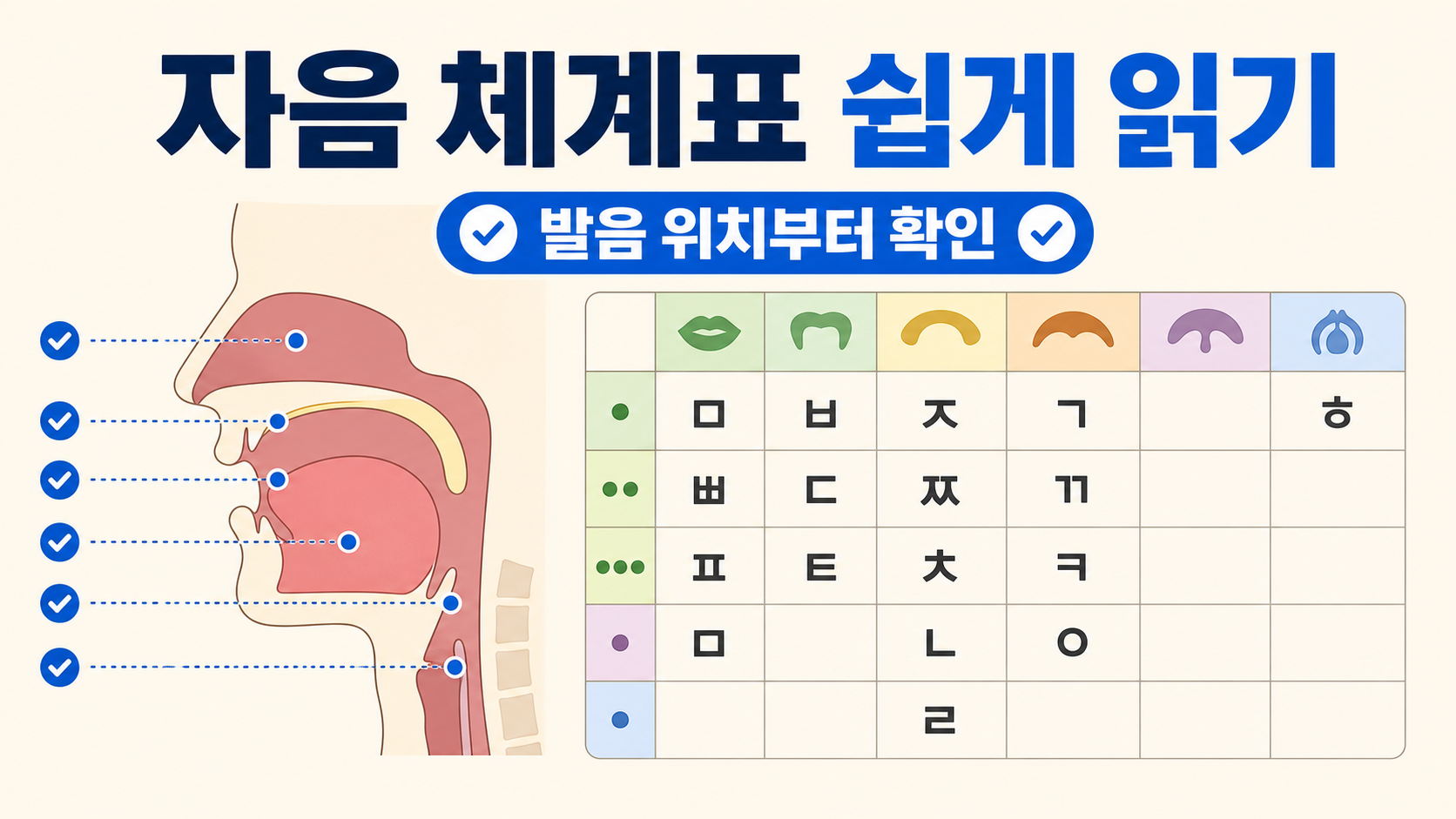 자음 체계표와 발음기관을 설명하는 한국어 정보 카드