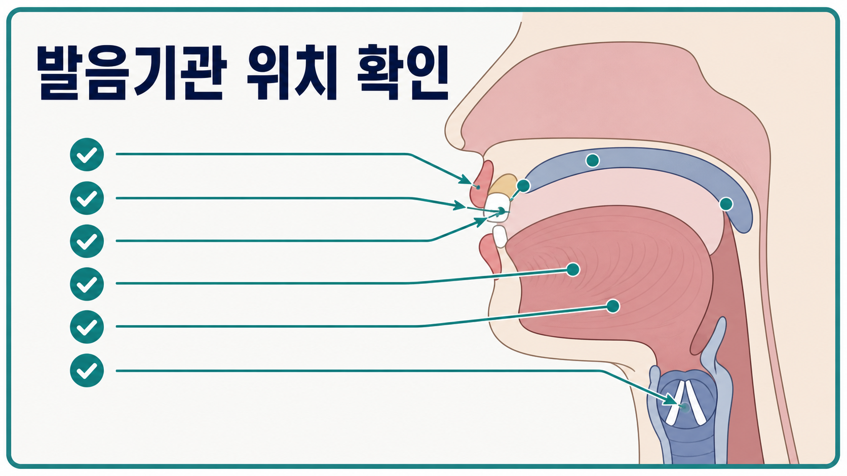 발음기관 위치를 표시한 자음 발음 안내 그림