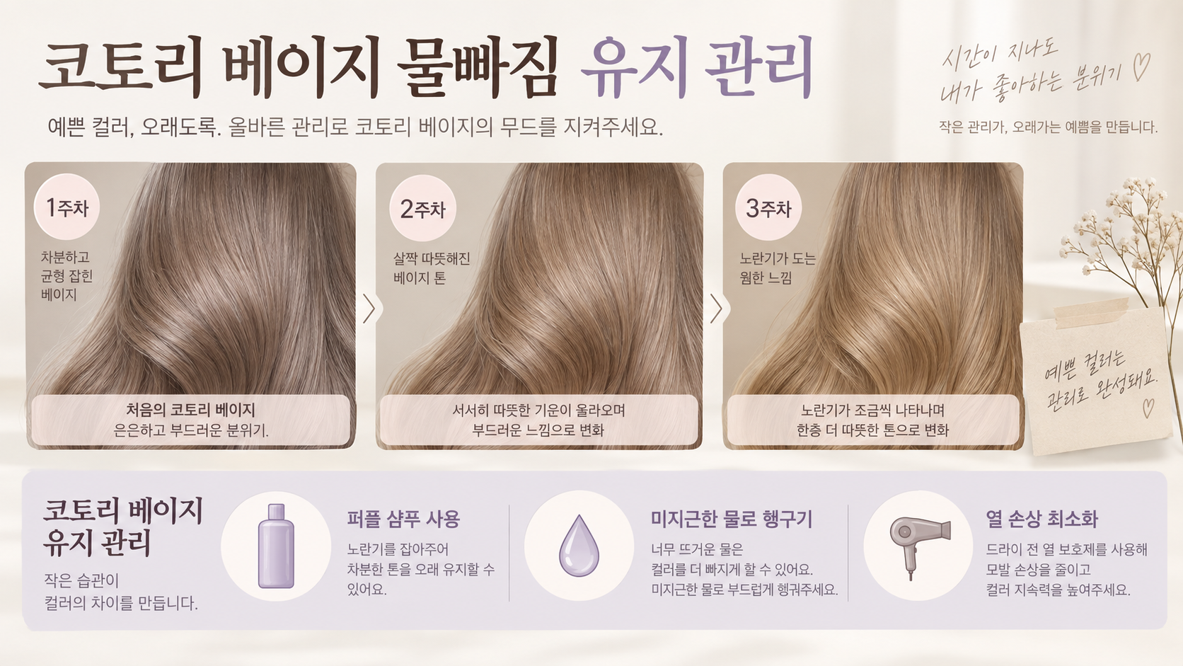 코토리 베이지 물빠짐 주차별 변화와 관리법을 정리한 한국형 정보카드