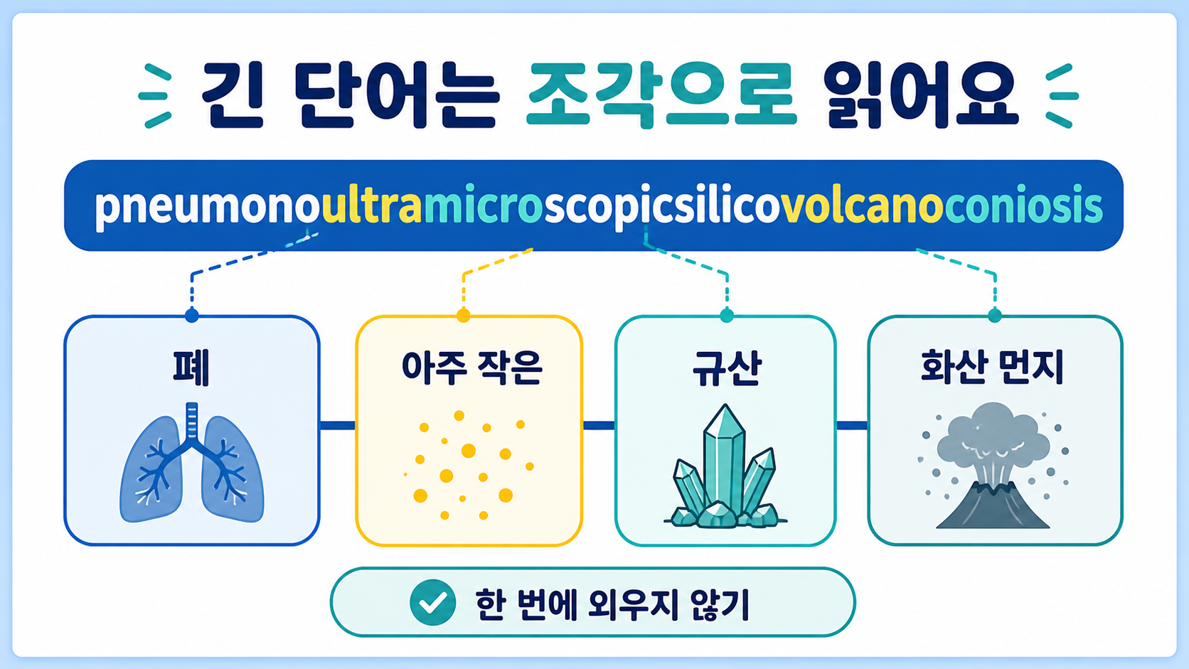 가장 긴 영어 단어 45글자 뜻과 읽는 법을 담은 정보카드