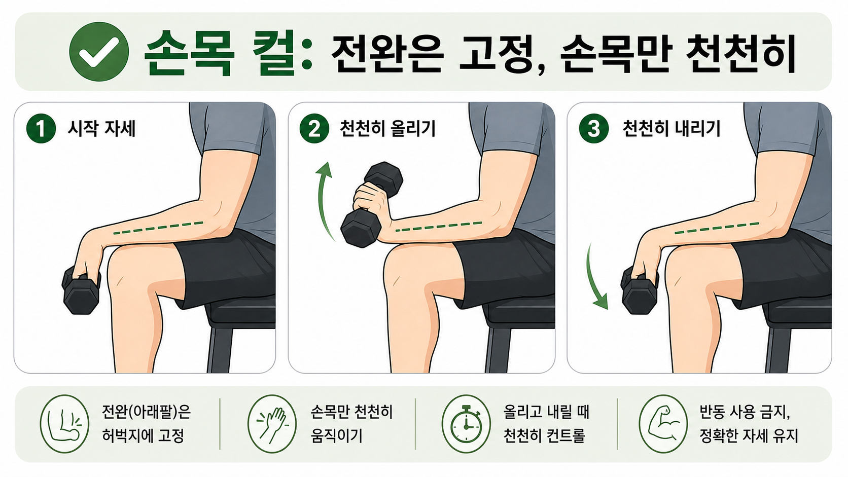 전완을 고정하고 손목만 천천히 움직이는 손목 컬 정보카드