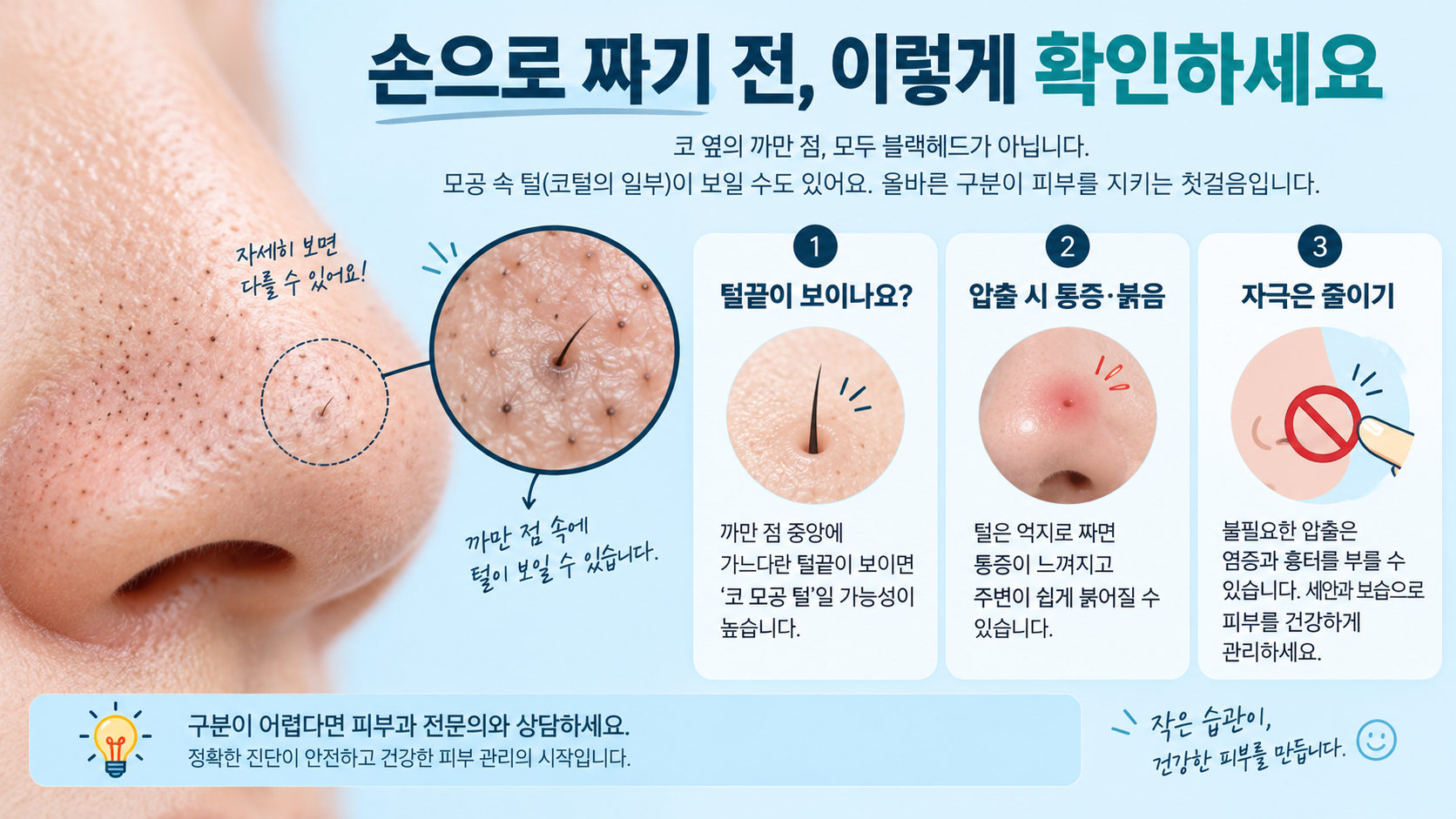 콧볼의 털끝과 자극 반응을 확인하는 한국어 정보카드