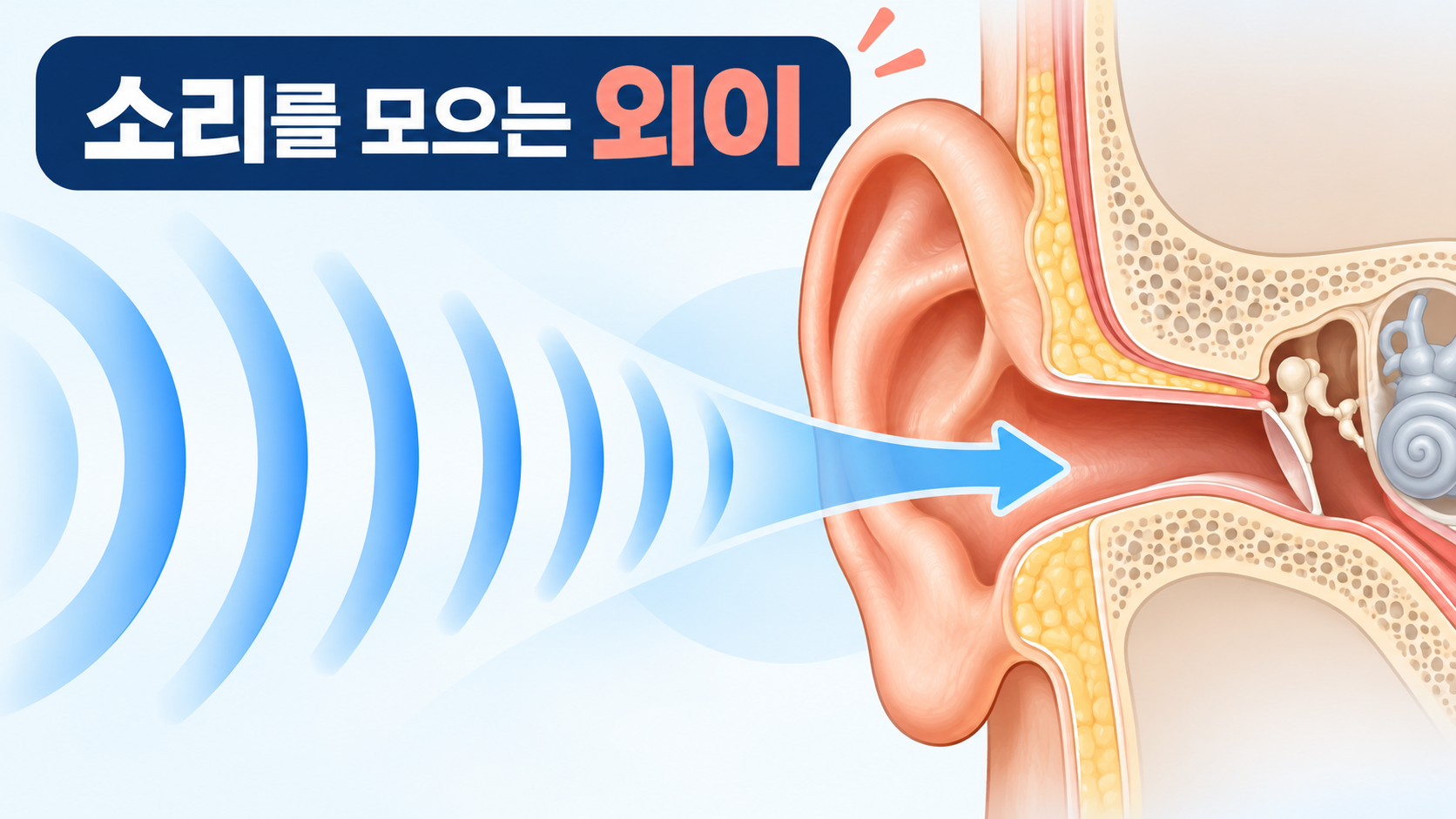 소리 파동이 외이도를 향하는 과정을 보여 주는 정보카드