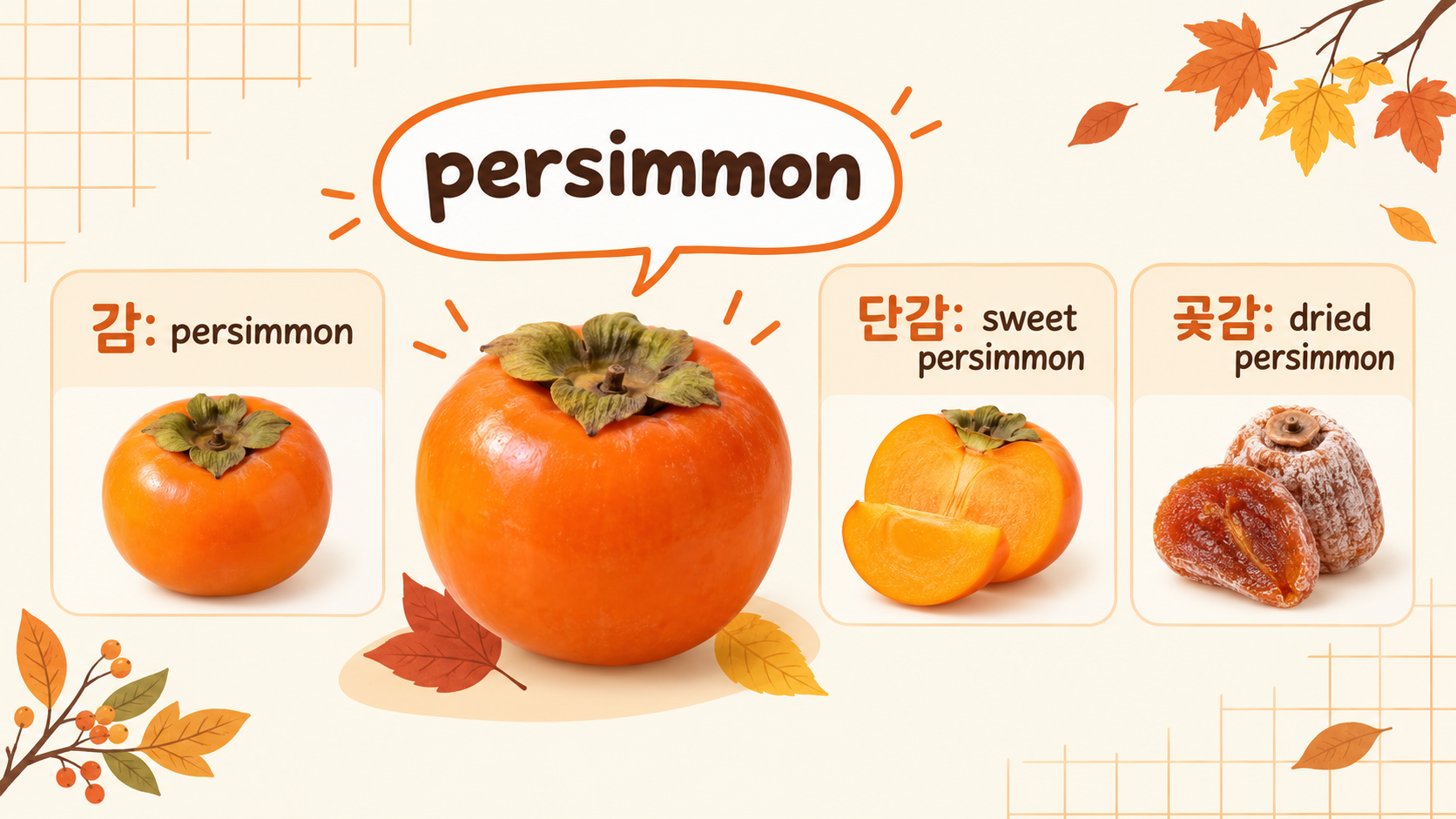 persimmon sweet persimmon dried persimmon 표현을 정리한 정보카드