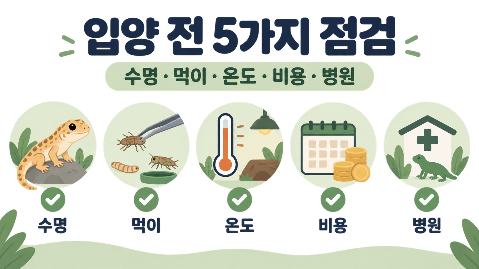반려 도마뱀 입양 전 점검 항목 정보카드