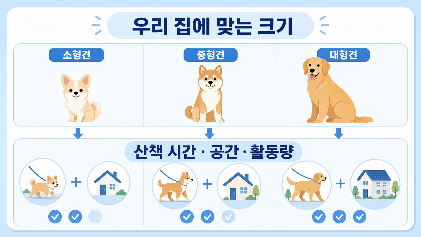 소형견·중형견·대형견의 산책 시간과 공간, 활동량을 비교하는 정보카드