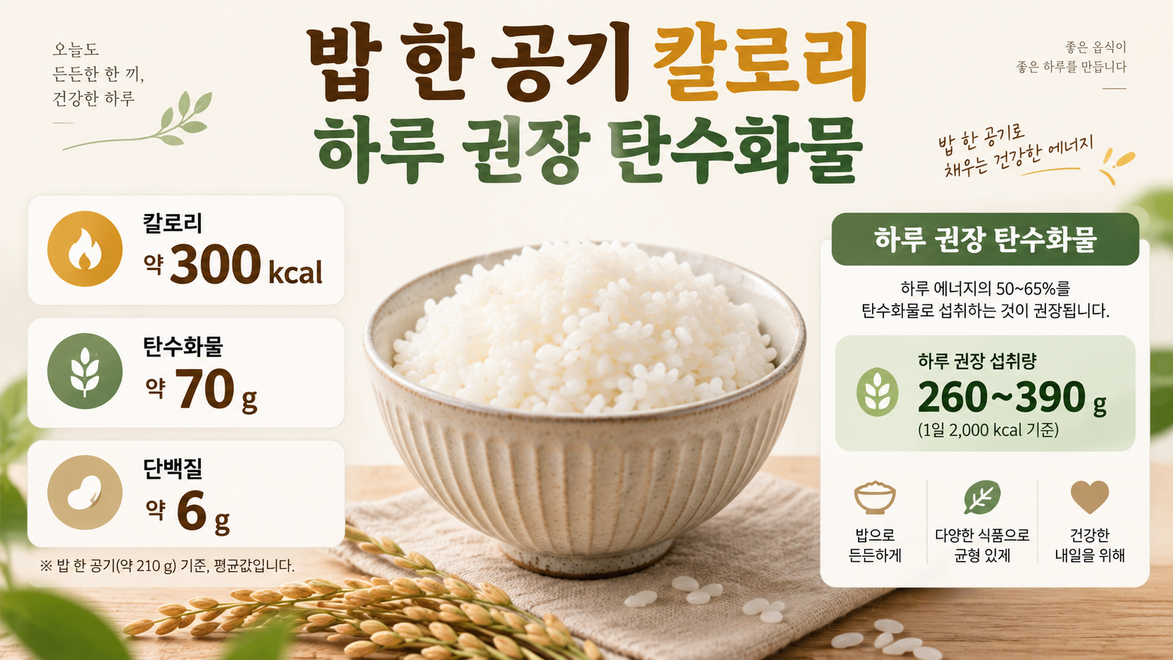 밥 한 공기 칼로리와 하루 권장 탄수화물 정보 카드