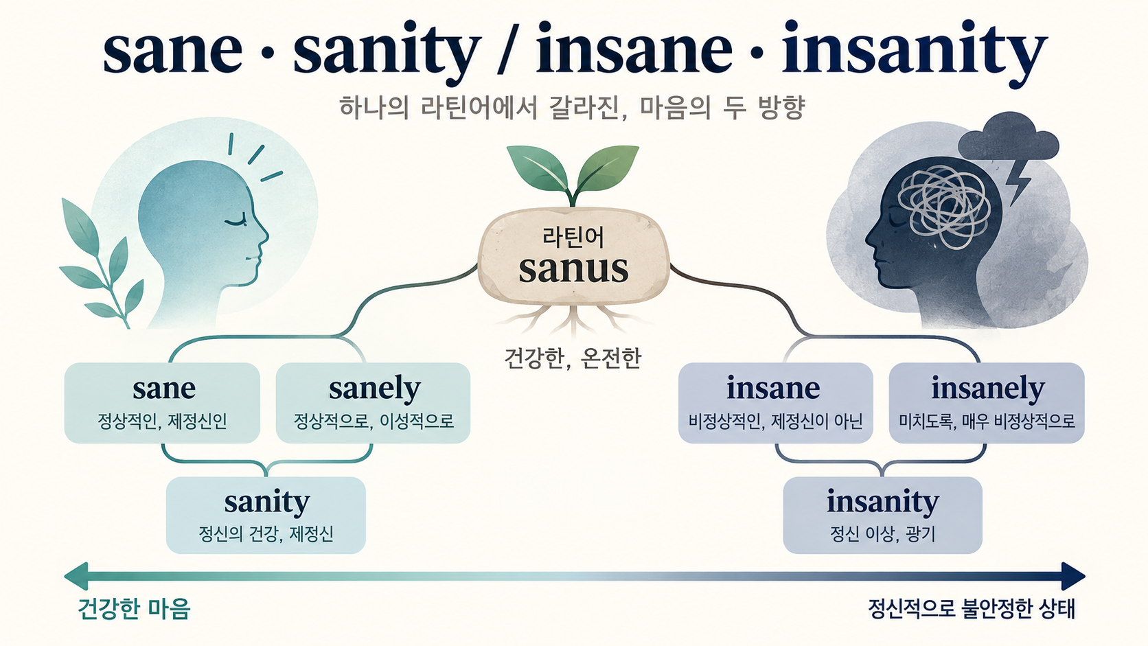 sane과 insane 단어 가족의 라틴어 어원 정보카드