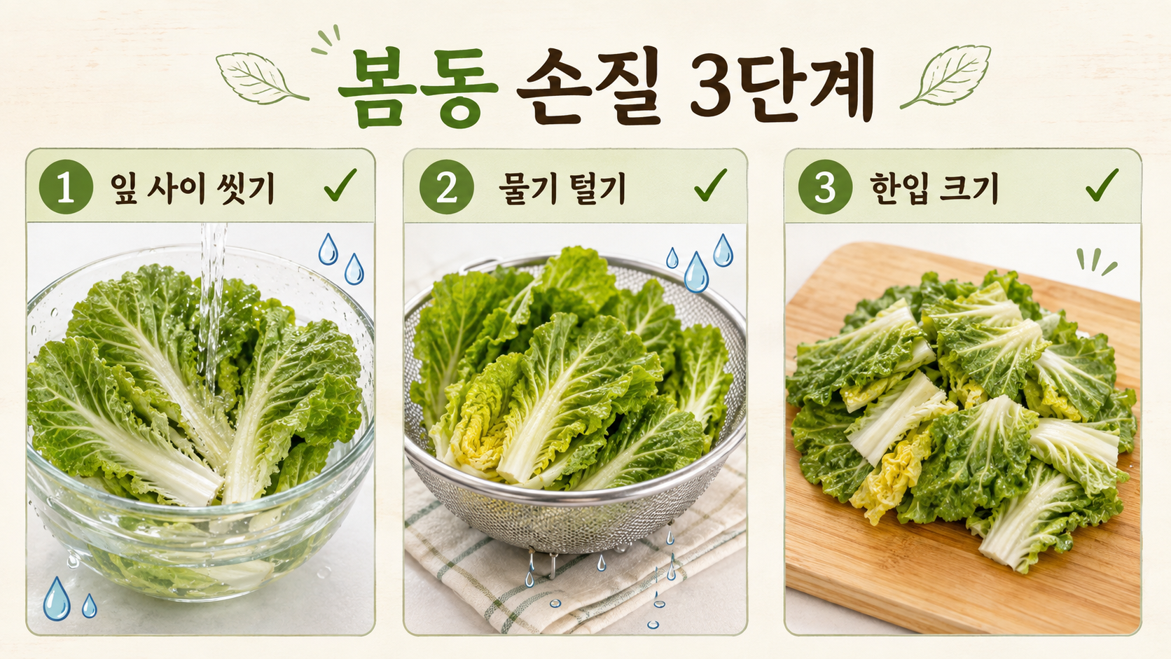 봄동 잎 사이를 씻고 물기를 털어 한입 크기로 자르는 한국어 정보카드