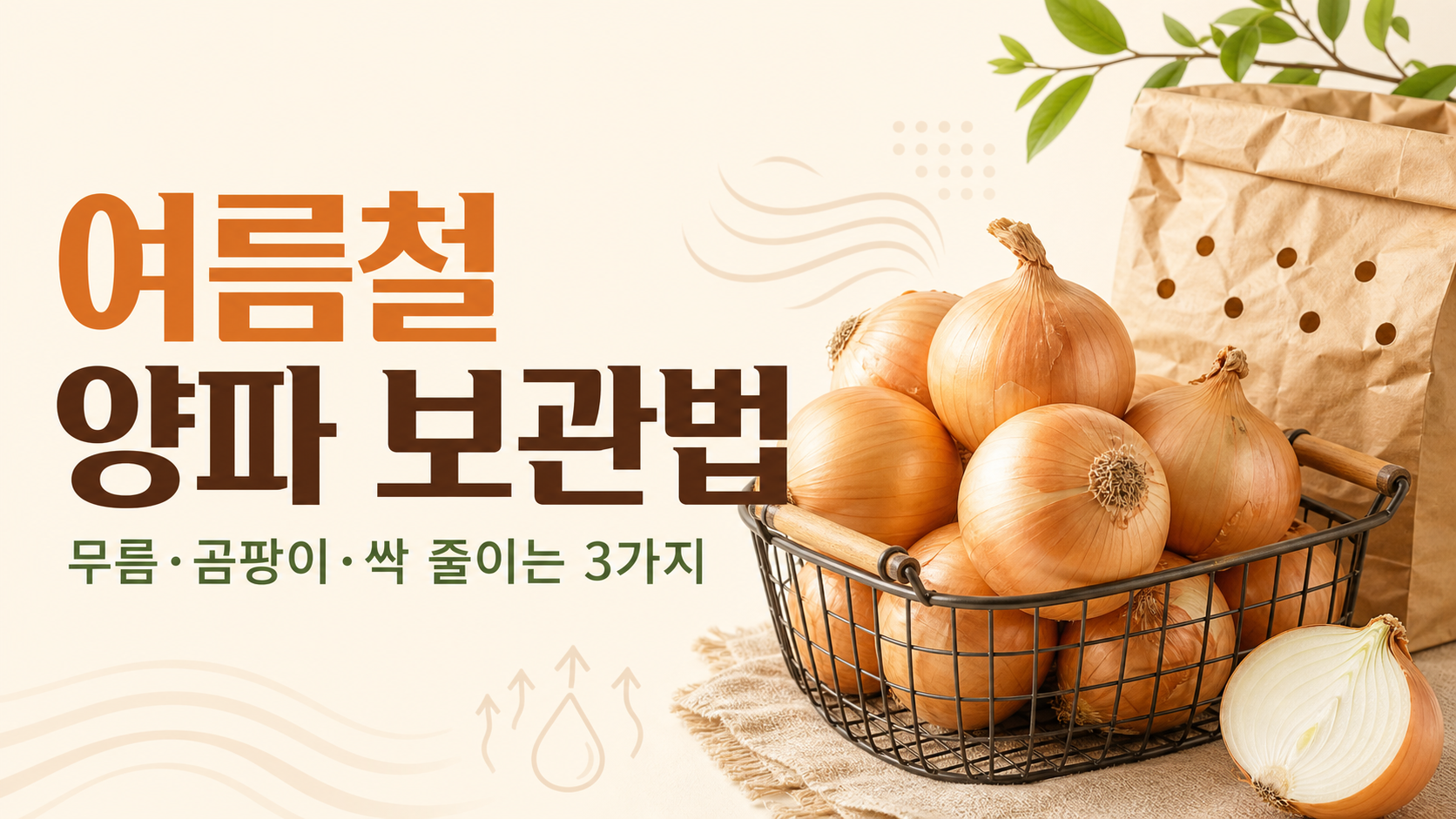 여름철 양파 보관법 정보카드