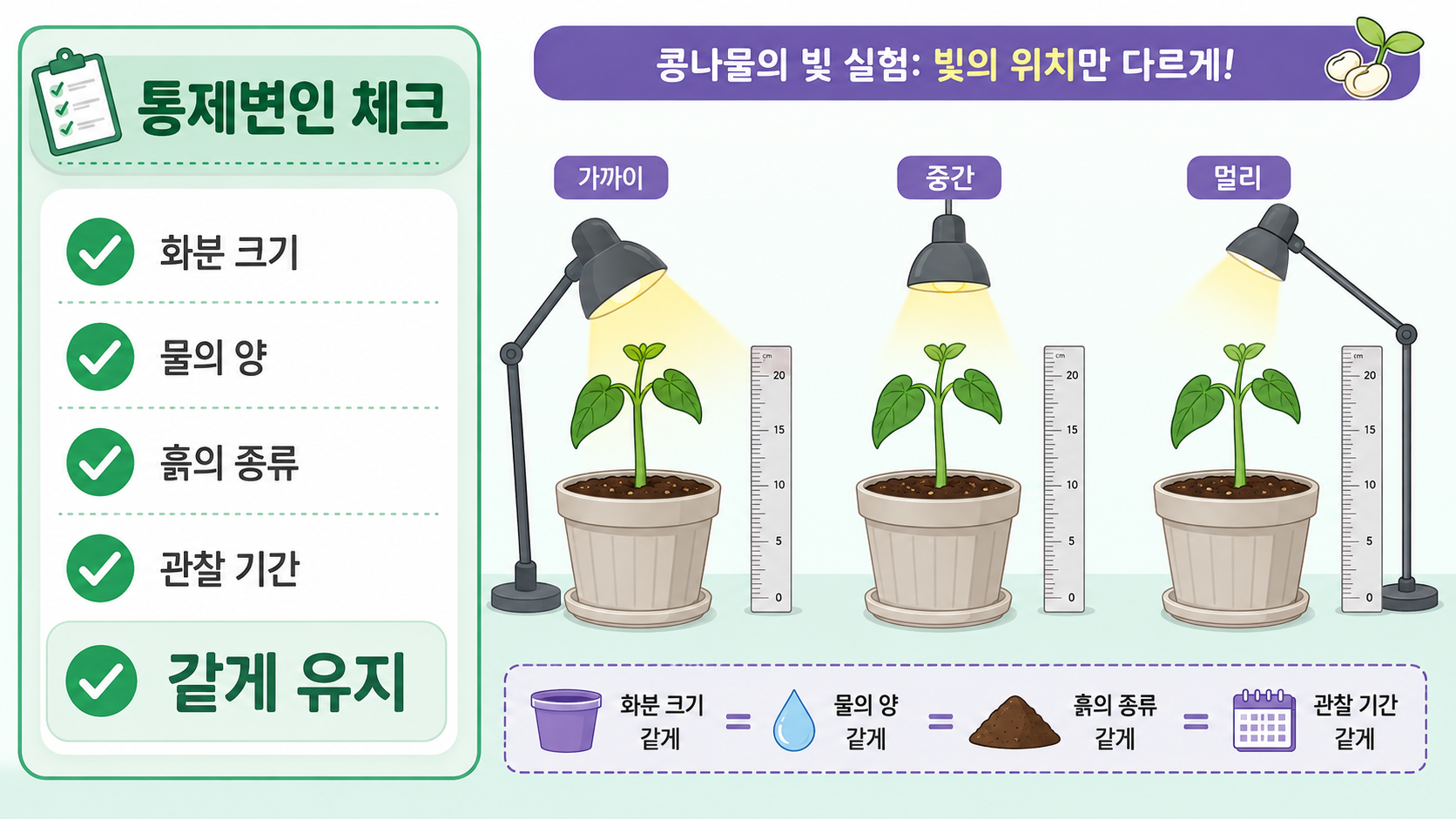 식물 실험에서 화분 크기와 물의 양, 흙의 종류, 관찰 기간을 통제변인으로 점검하는 정보 카드