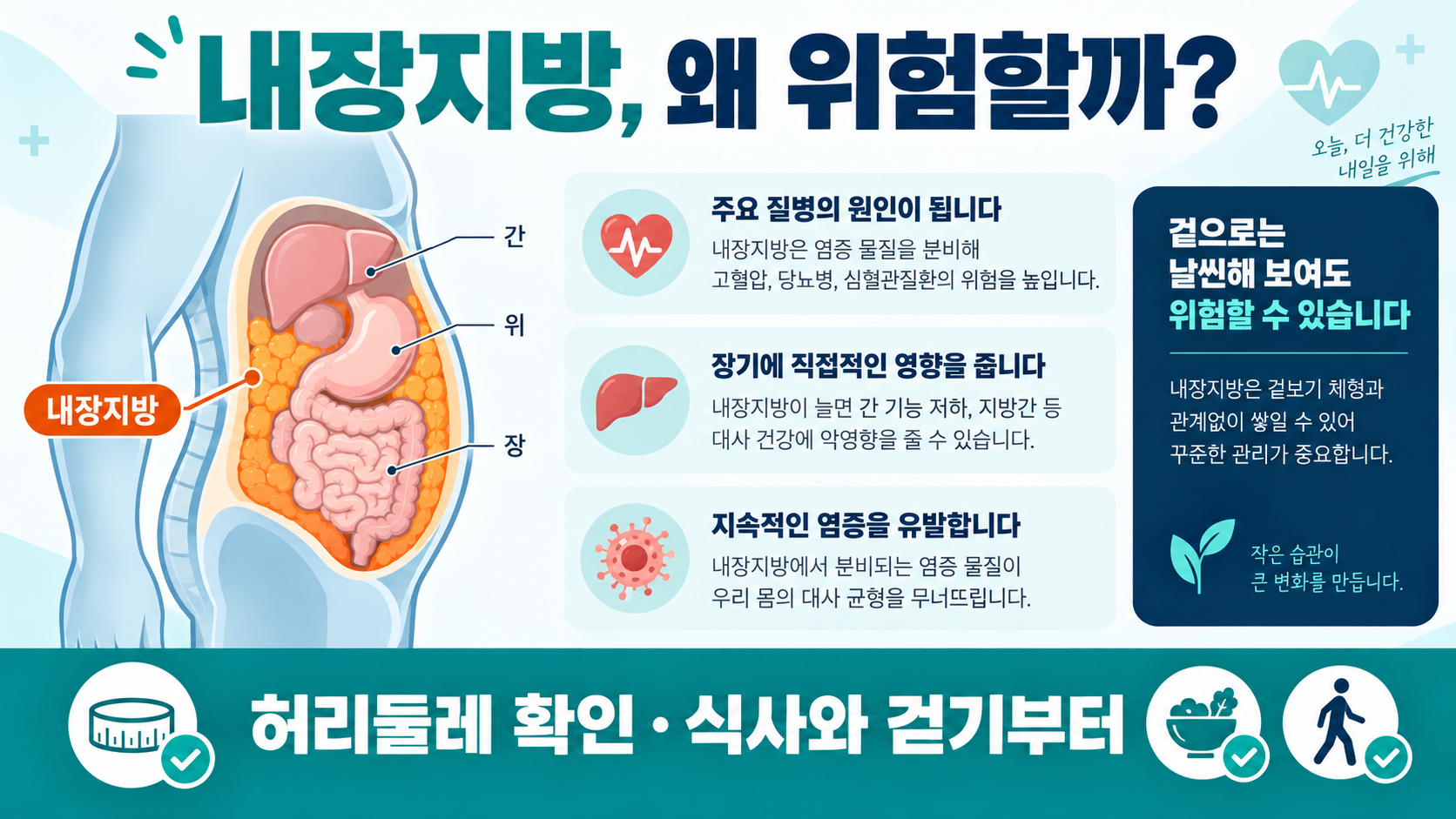 내장지방의 위치와 관리 핵심 행동을 보여 주는 한국어 정보카드