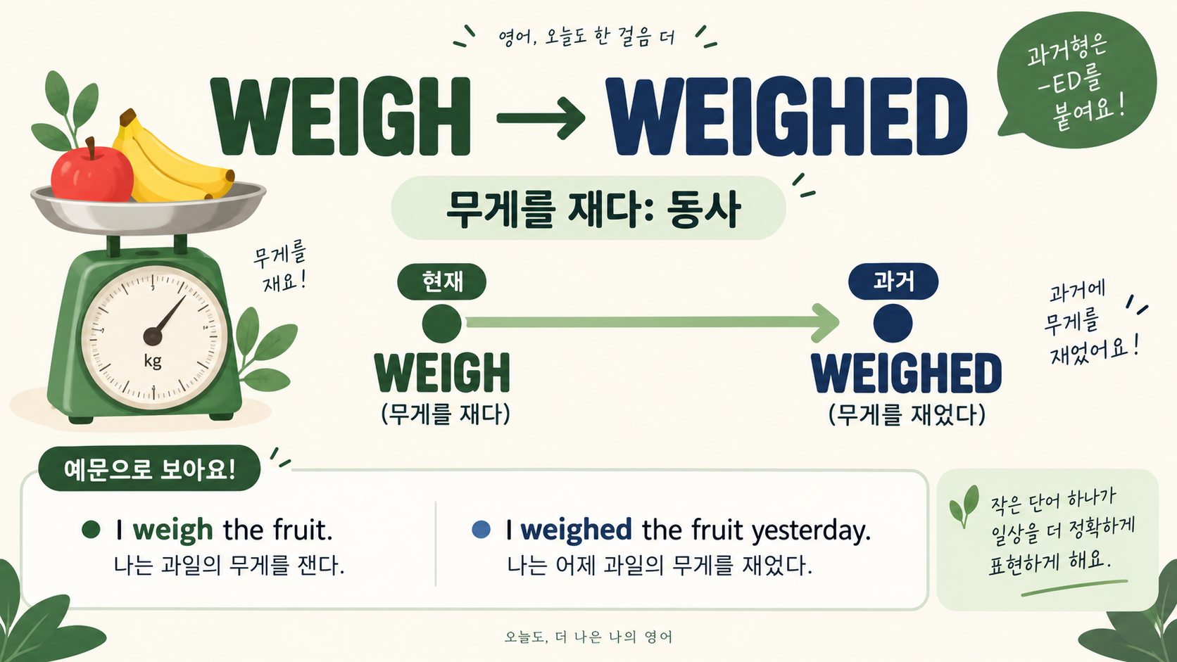weigh와 weighed 활용을 설명하는 정보카드