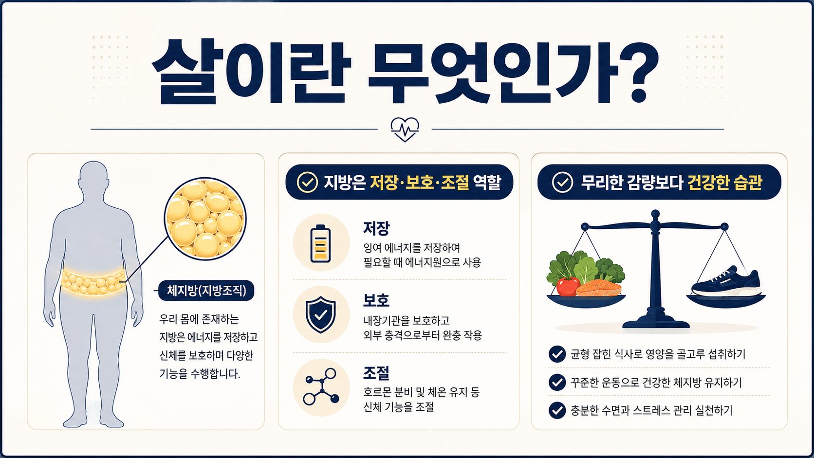 살이란 무엇인지와 체지방의 저장·보호·조절 역할을 보여 주는 정보카드