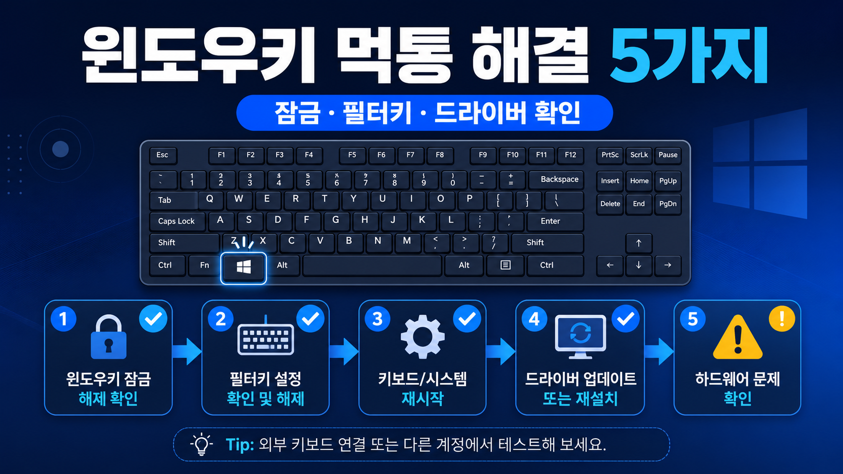 윈도우키 먹통 해결 5가지와 잠금, 필터 키, 드라이버 확인 순서를 보여주는 정보 카드