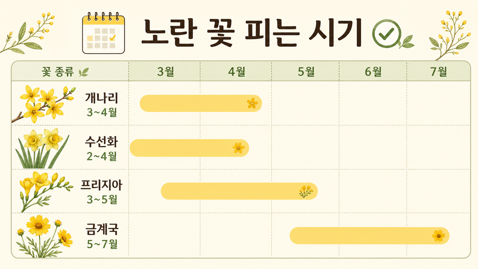 개나리 수선화 프리지아 금계국의 개화 시기를 비교한 정보카드