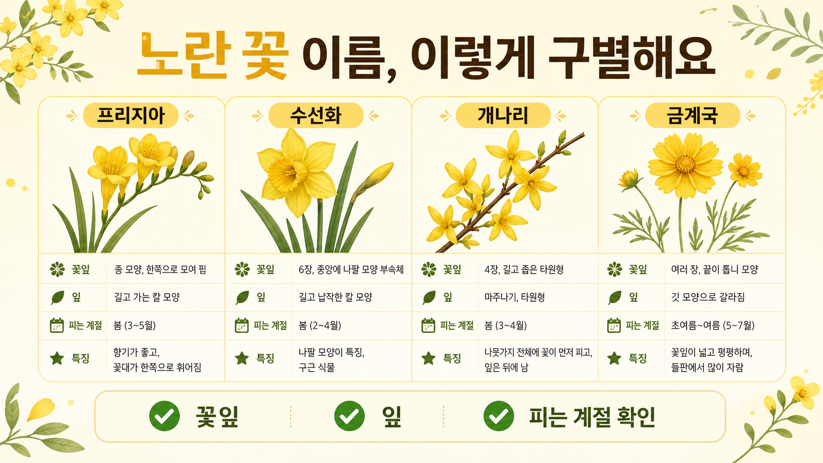 노란 꽃 이름을 개나리 수선화 프리지아 금계국으로 비교하는 정보카드