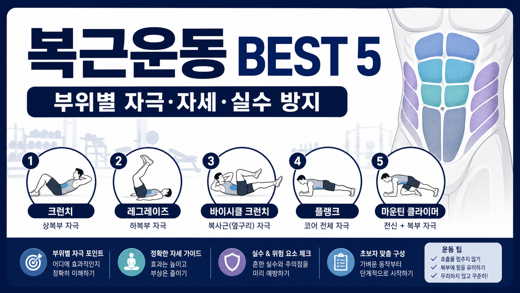 복근운동 BEST 5와 부위별 자극을 설명하는 한국형 정보카드
