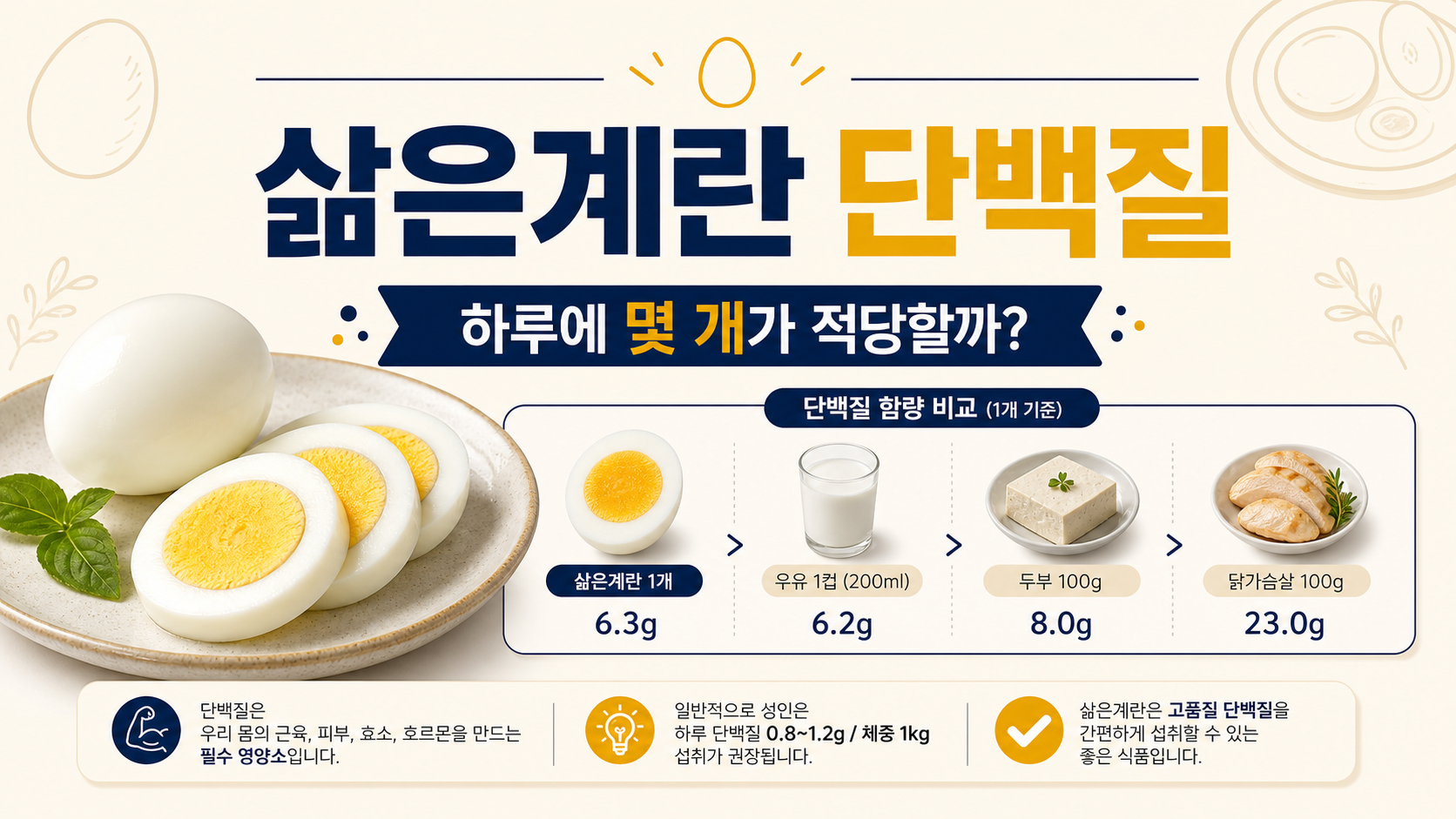 삶은계란 단백질과 하루 섭취량을 설명하는 정보카드