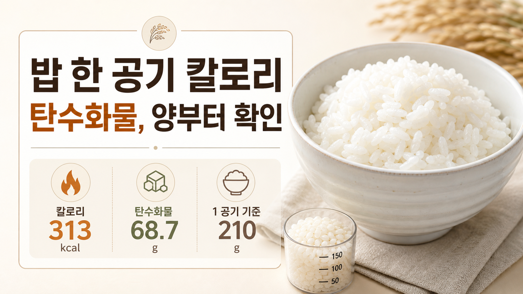 밥 한 공기 칼로리와 탄수화물을 정리한 한국어 정보카드