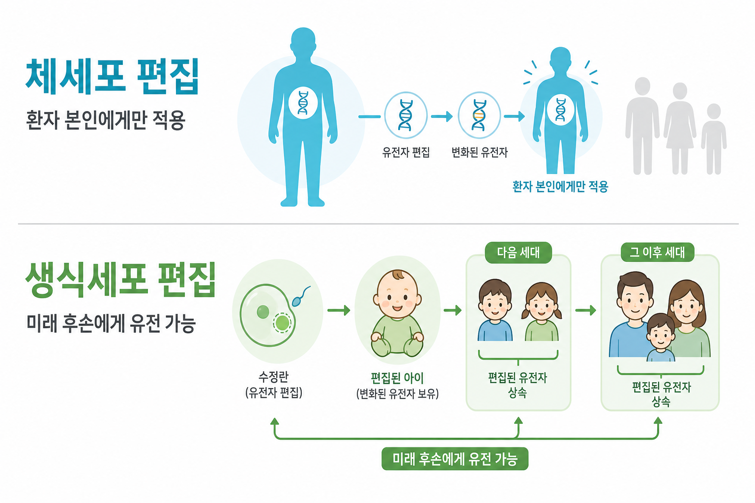 환자 본인에게만 적용되는 체세포 편집과 미래 후손에게 유전될 수 있는 생식세포 편집의 범위 비교도