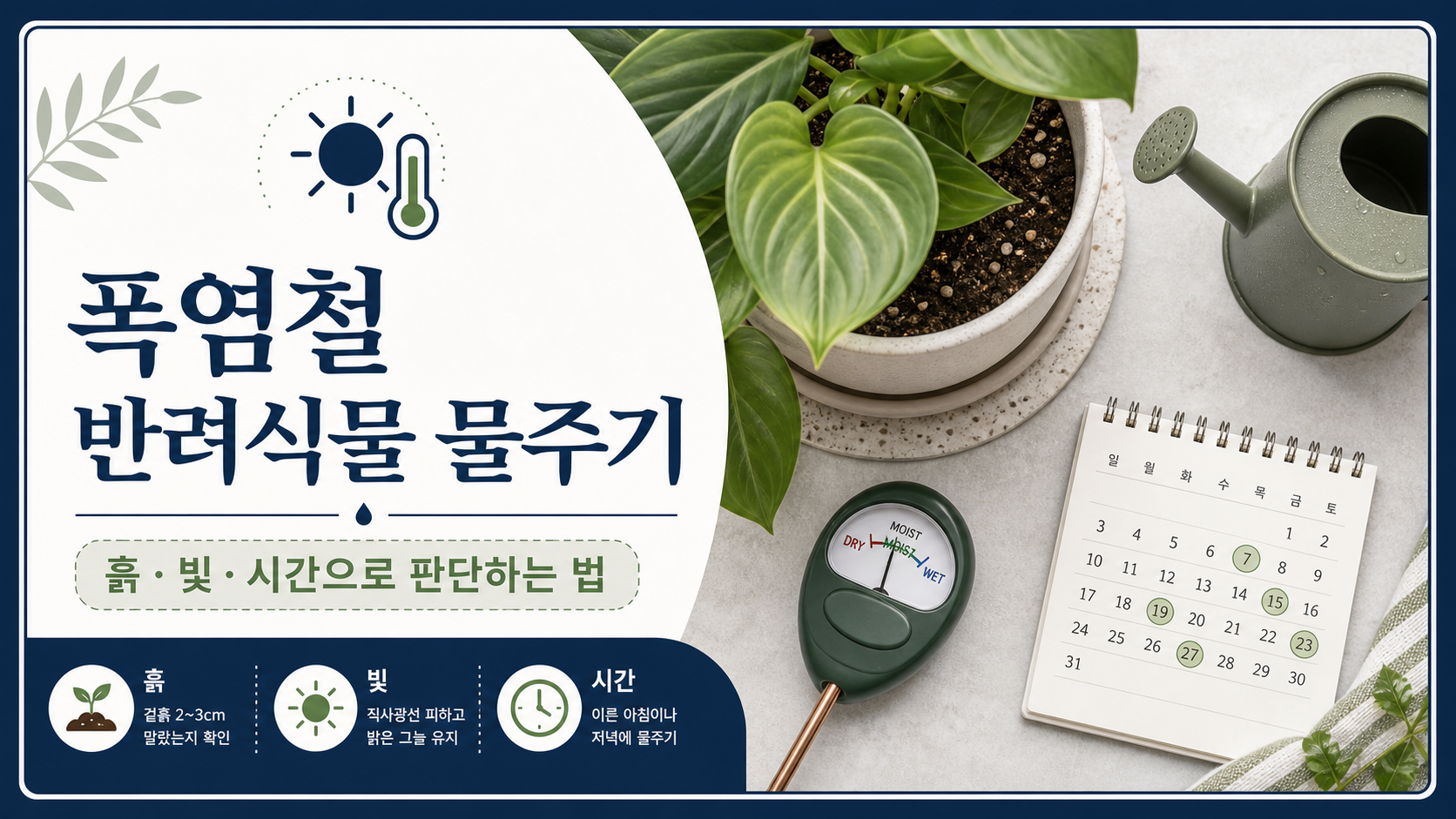 폭염철 반려식물 물주기 핵심을 흙 빛 시간으로 정리한 정보 카드